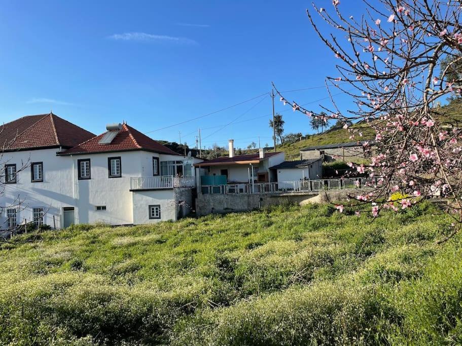 Casa Da Celeste Maljoga de Proenca Dış mekan fotoğraf
