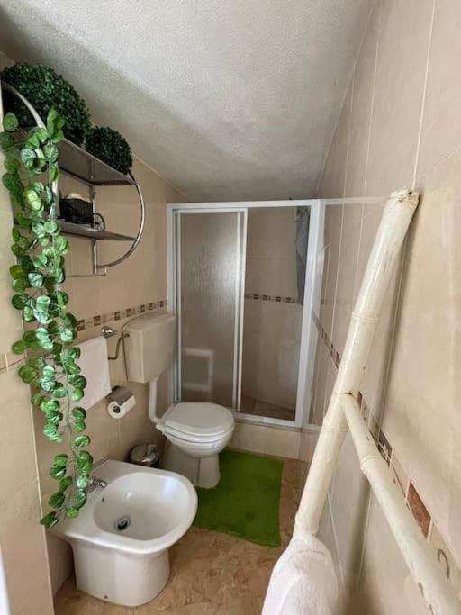 Casa Da Celeste Maljoga de Proenca Dış mekan fotoğraf