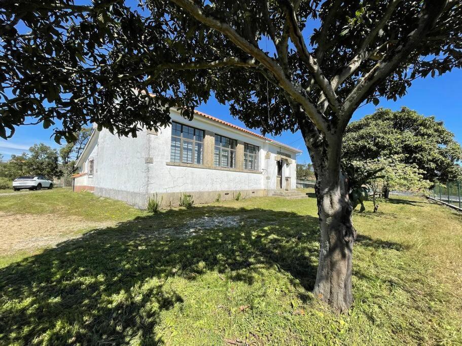 Casa Da Celeste Maljoga de Proenca Dış mekan fotoğraf